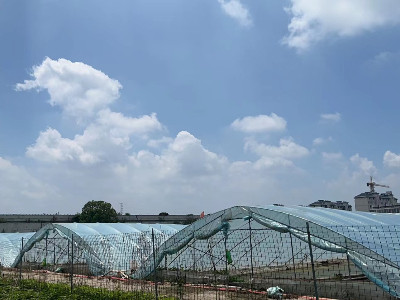 恩拓博高速增氧機上海使用案例！